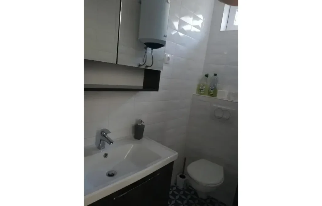 529736291